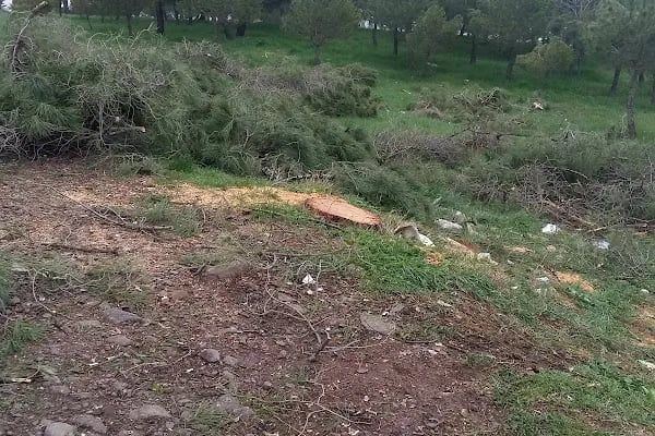 Kuva-yi Milliye Anıt Parkı - Resim 14
