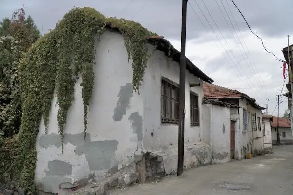 Müsafir Fakih Türbesi - Resim 15