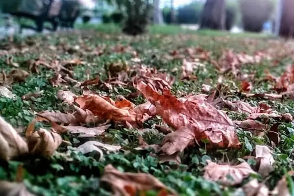 Necdet Sevinç Parkı - Resim 15