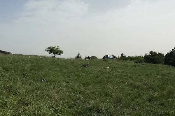 Mülkiye Hatıra Ormanı - Resim 3