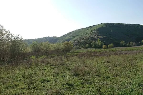 Mülkiye Hatıra Ormanı - Resim 2