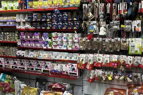 Bosna Mavi petshop - Resim 4