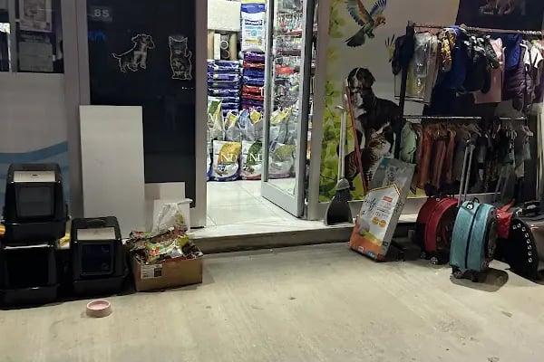 Bosna Mavi petshop - Resim 1