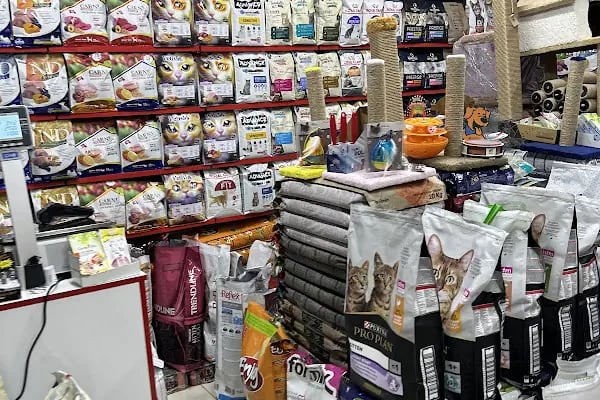 Bosna Mavi petshop - Resim 2