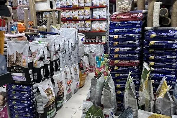 Bosna Mavi petshop - Resim 3