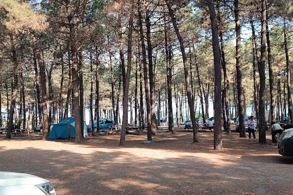 Kamo's Beach Club - Resim 4