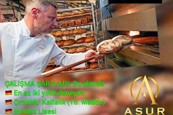 Asur Yabancı Dil Kursu , Yurtdışı Danışmanlık ve Tercüme Bürosu - Mersin - Resim 8