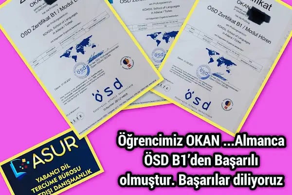 Asur Yabancı Dil Kursu , Yurtdışı Danışmanlık ve Tercüme Bürosu - Mersin - Resim 9