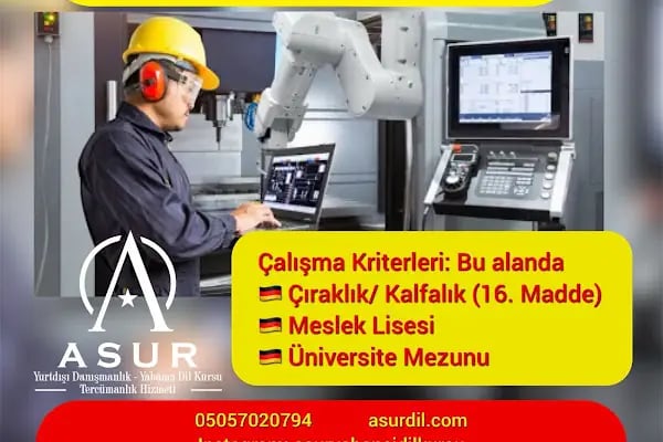 Asur Yabancı Dil Kursu , Yurtdışı Danışmanlık ve Tercüme Bürosu - Mersin - Resim 18
