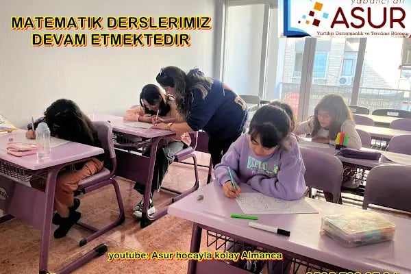 Asur Yabancı Dil Kursu , Yurtdışı Danışmanlık ve Tercüme Bürosu - Mersin - Resim 4