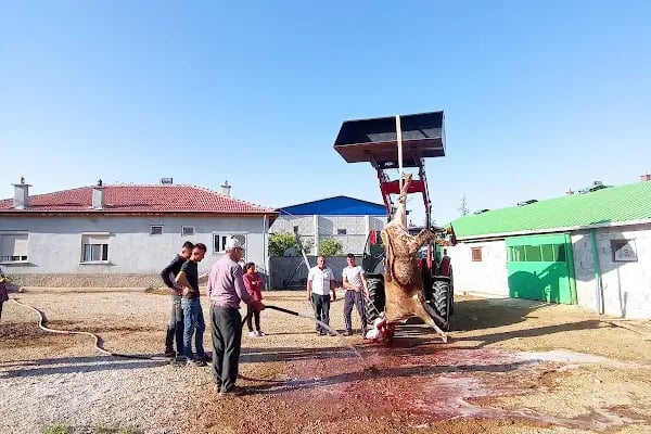 Beyazıt Cami - Resim 4