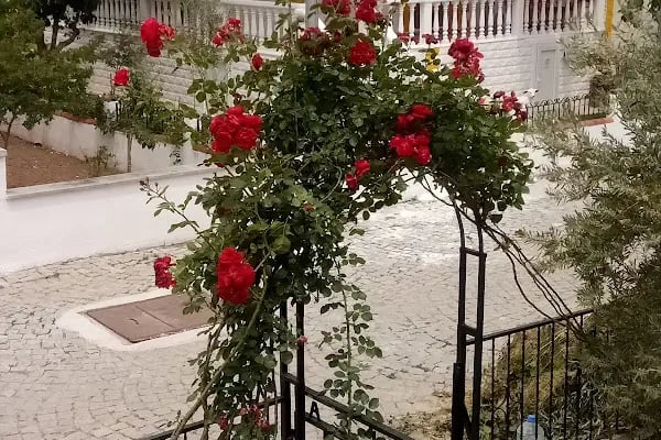 Ayyıldız Tatil Sitesi - Resim 2