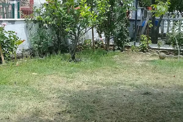 Ayyıldız Tatil Sitesi - Resim 19