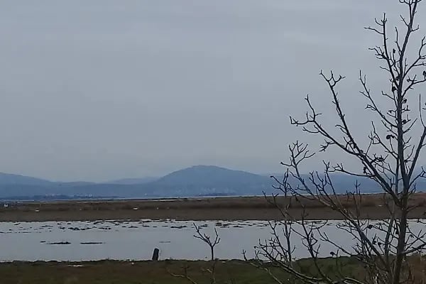 Ayyıldız Tatil Sitesi - Resim 9