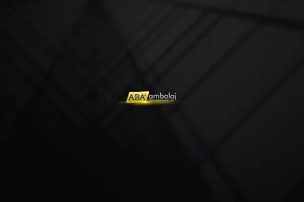 ABA AMBALAJ KARTON ÜRETİM - Resim 3