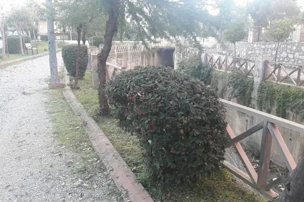 Alanya Belediyesi Tenis Kortu - Resim 7