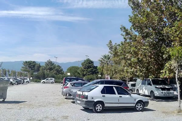 Zeytinli Rock Festivali Plaj - Resim 11