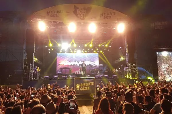 Zeytinli Rock Festivali Plaj - Resim 8