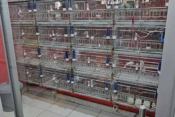 Duru Petshop Ltd. Sti - Resim 11
