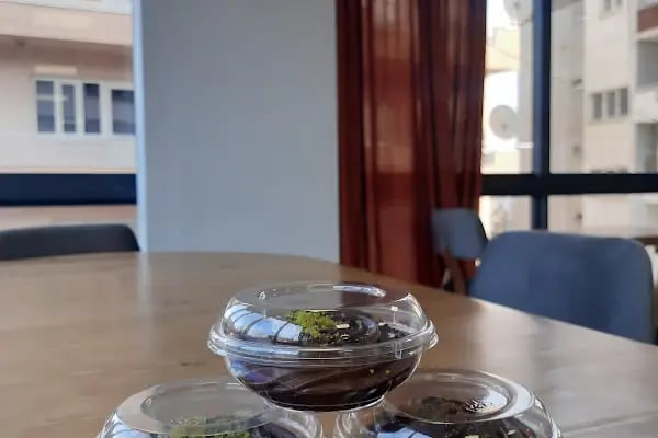 Öz Dadaşlar Unlu Mamülleri &amp; Ekmek Fırını - Resim 11