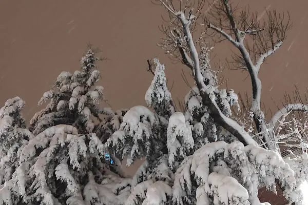 75. Yıl Cumhuriyet Parkı - Resim 15