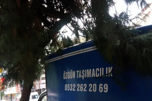 75. Yıl Cumhuriyet Parkı - Resim 17