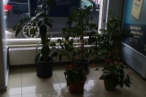 Türkiye İş Bankası Kazım Karabekir/Ankara Şubesi - Resim 6