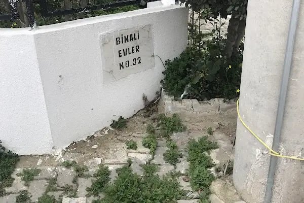 Binali Evler - Resim 6