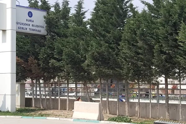 Gemlik Otogarı - Resim 20