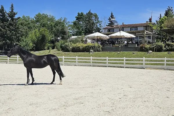 Gürman Binicilik Spor Klubü - Gürman Çiftliği - Resim 7