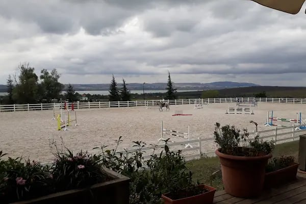 Gürman Binicilik Spor Klubü - Gürman Çiftliği - Resim 9