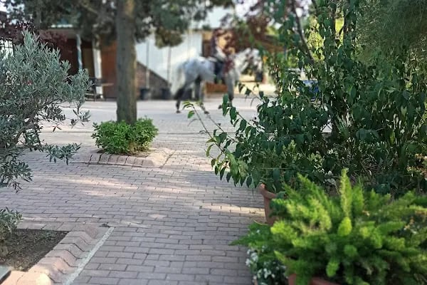 Gürman Binicilik Spor Klubü - Gürman Çiftliği - Resim 19