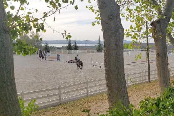 Gürman Binicilik Spor Klubü - Gürman Çiftliği - Resim 6