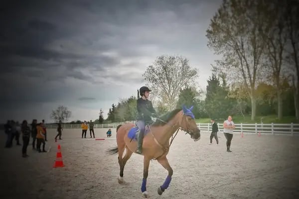 Gürman Binicilik Spor Klubü - Gürman Çiftliği - Resim 11
