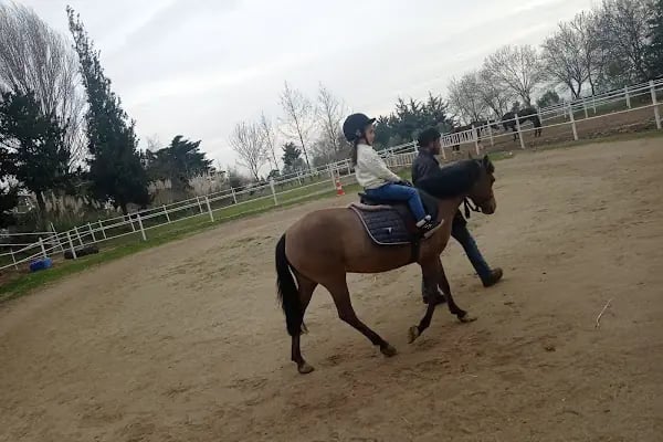 Gürman Binicilik Spor Klubü - Gürman Çiftliği - Resim 1