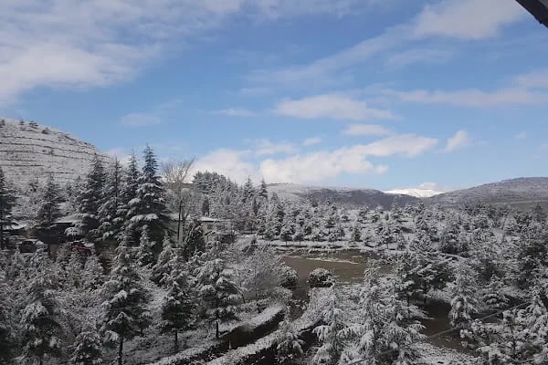 Orman İşletmesi Kapıağzı Sitesi - Resim 2