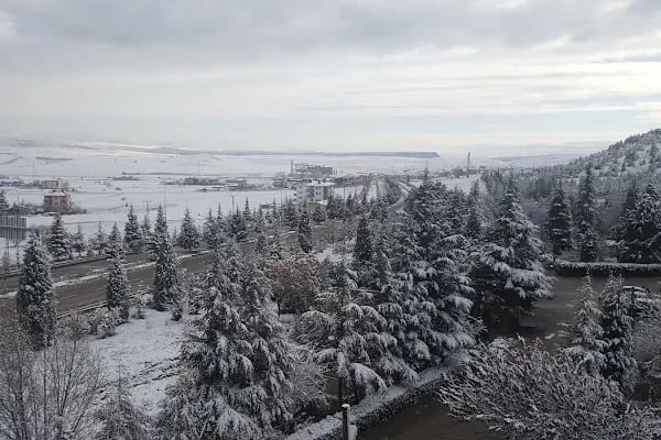 Orman İşletmesi Kapıağzı Sitesi - Resim 1