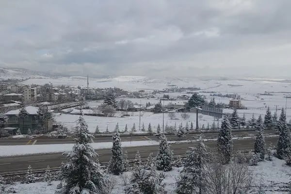 Orman İşletmesi Kapıağzı Sitesi - Resim 4