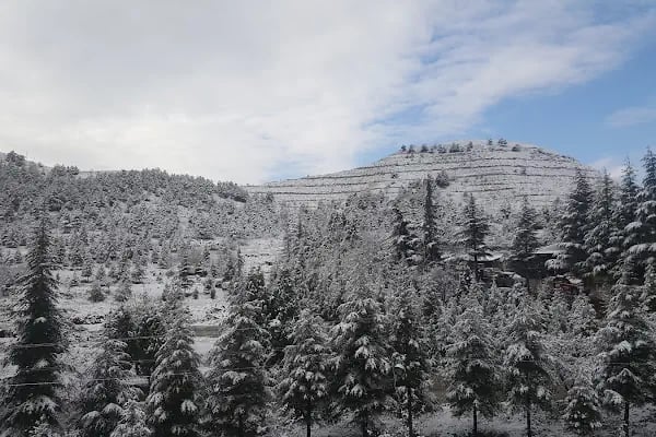 Orman İşletmesi Kapıağzı Sitesi - Resim 3