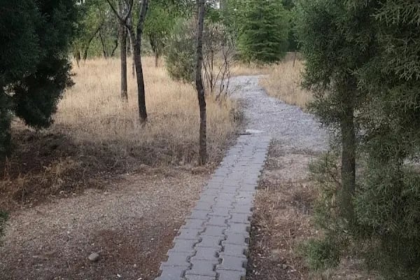 Orman İşletmesi Kapıağzı Sitesi - Resim 5