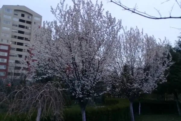 Eryaman Spor Tesisleri - Resim 9