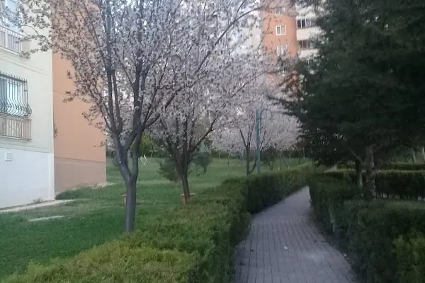 Eryaman Spor Tesisleri - Resim 6