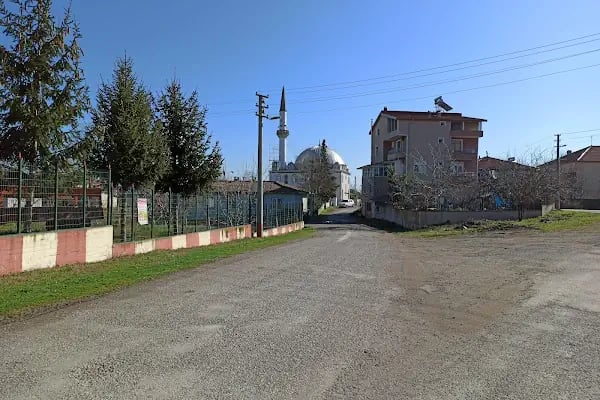 Engiz Köy Cami - Resim 4