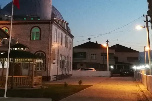 Engiz Köy Cami - Resim 11