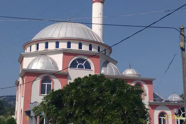 Engiz Köy Cami - Resim 8