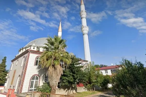 Engiz Köy Cami - Resim 9