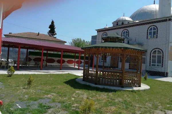 Engiz Köy Cami - Resim 5