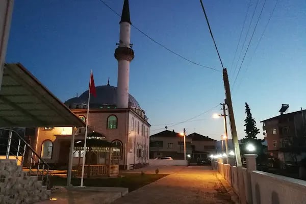 Engiz Köy Cami - Resim 14