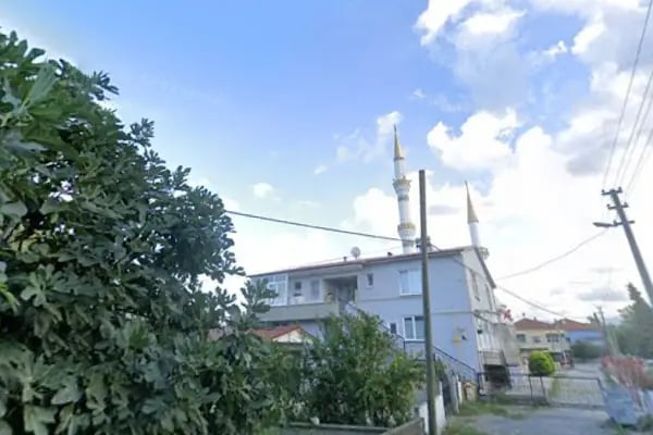 Engiz Köy Cami - Resim 6