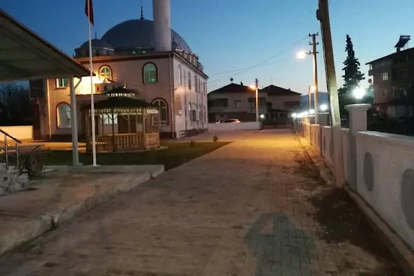 Engiz Köy Cami - Resim 13